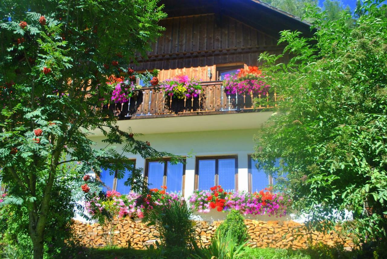 Apartment zum Wasserfall Krakaudorf Exterior foto