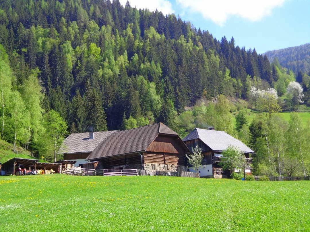 Apartment zum Wasserfall Krakaudorf Exterior foto