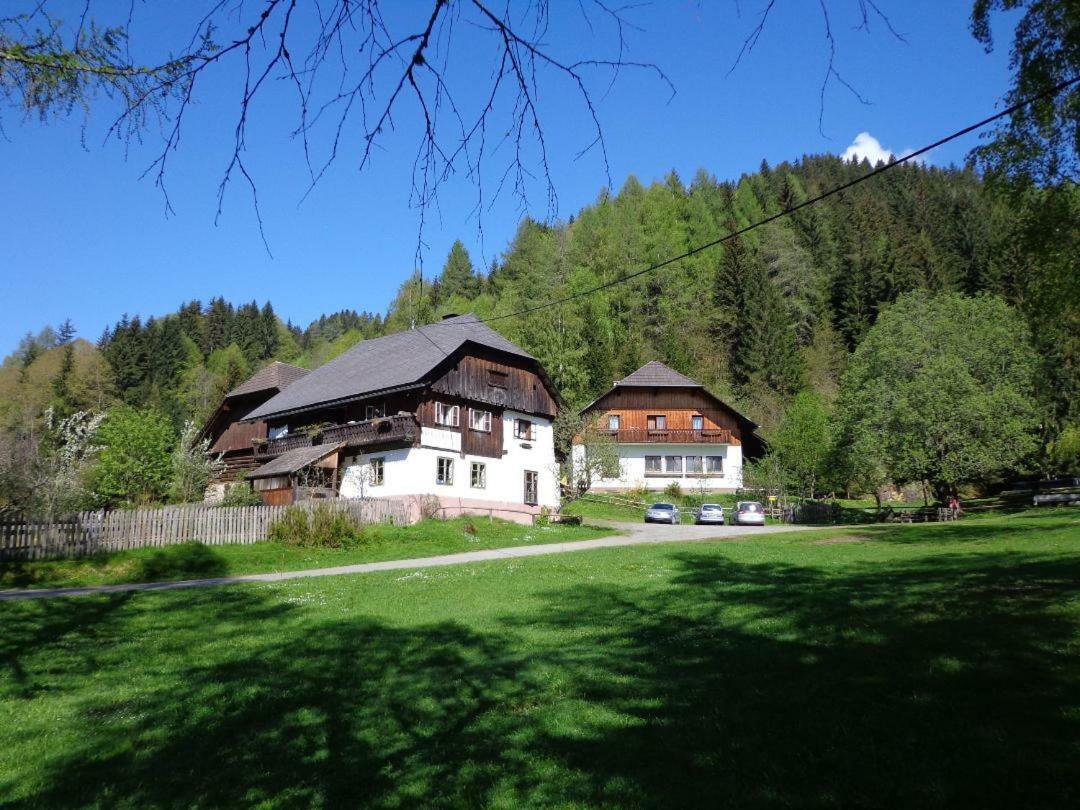 Apartment zum Wasserfall Krakaudorf Exterior foto